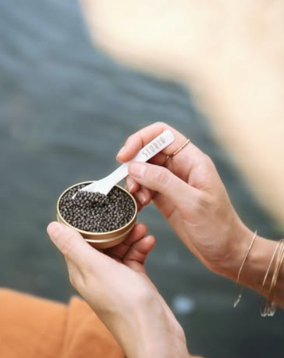 The Signature Summer Apéro